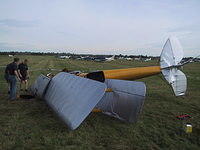 Tiger Moth