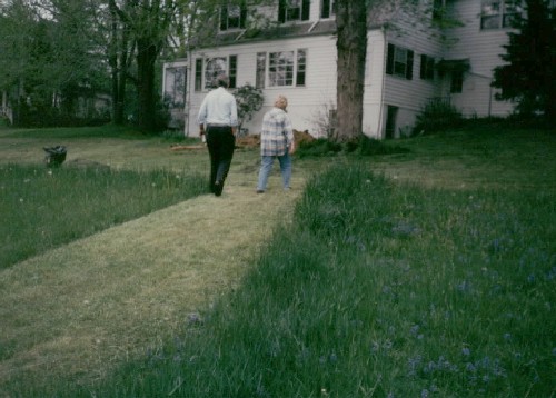 if the contraption is a piece of art, its mowing should be too