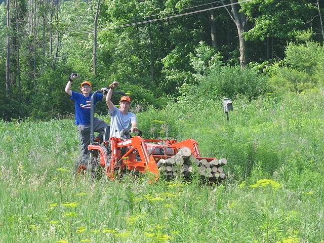 Dad and Nathan chainsawing trees and hauling wood