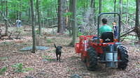 The boys working in the woods